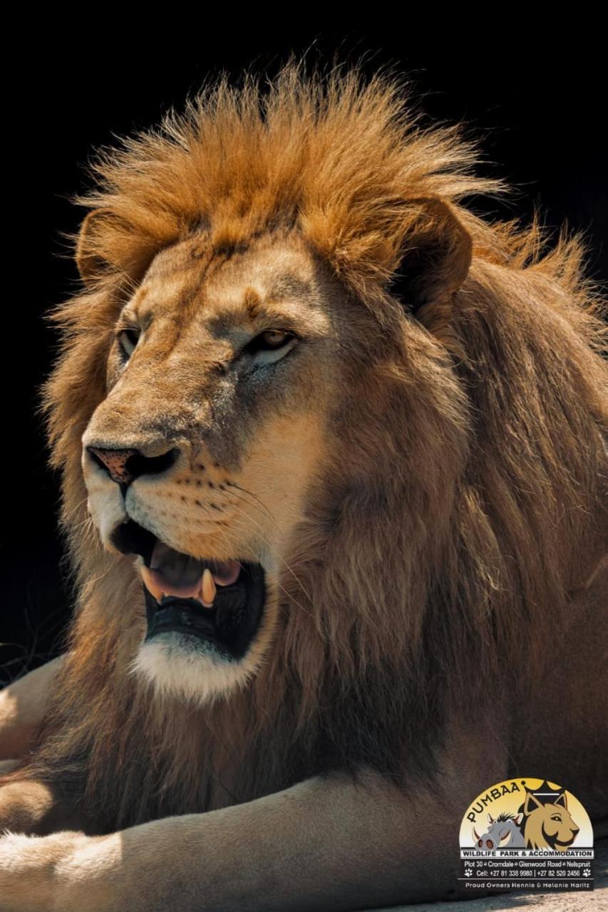 Lions View Accommodation نيلسبروت المظهر الخارجي الصورة